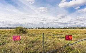 Stadtökologische Führung auf dem Tempelhofer Feld