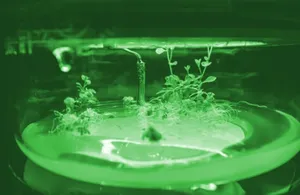 TOUCHING BOUNDARIES: What Drives Art and Science Collaboration