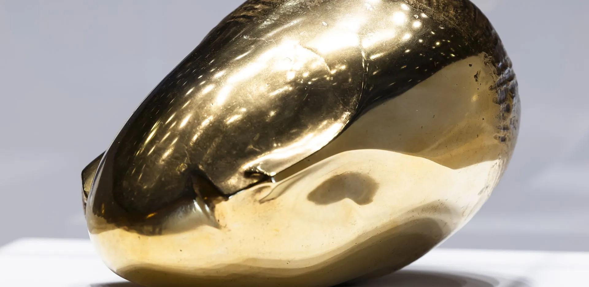 AskMe - Brancusi