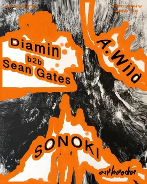 Braygray — 1 Year A.Wild, Diamin b2b Sean Gates, SONOKI