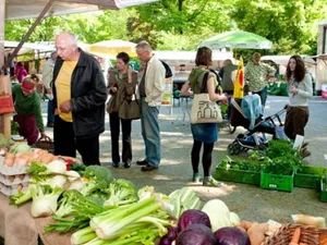 Ökomarkt im Hansaviertel