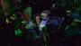 P*RN