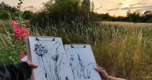 Botanical Drawing – Experimentelles botanisches Zeichnen