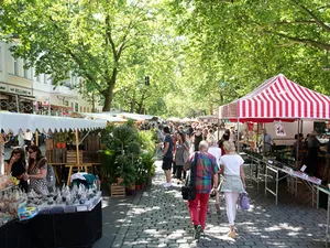 Ökomarkt am Kollwitzplatz