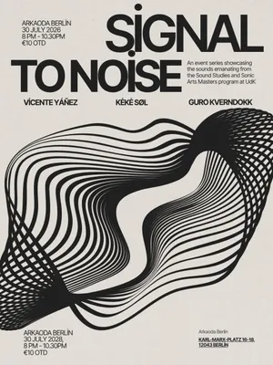 Signal To Noise: Vicente Yáñez, Kėkė Søl, Guro Kverndokk