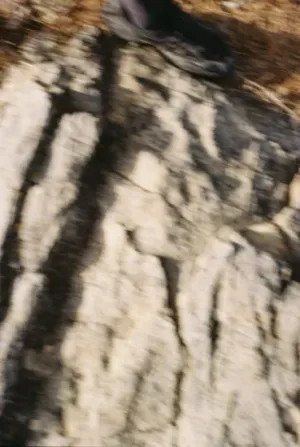sonomayrit