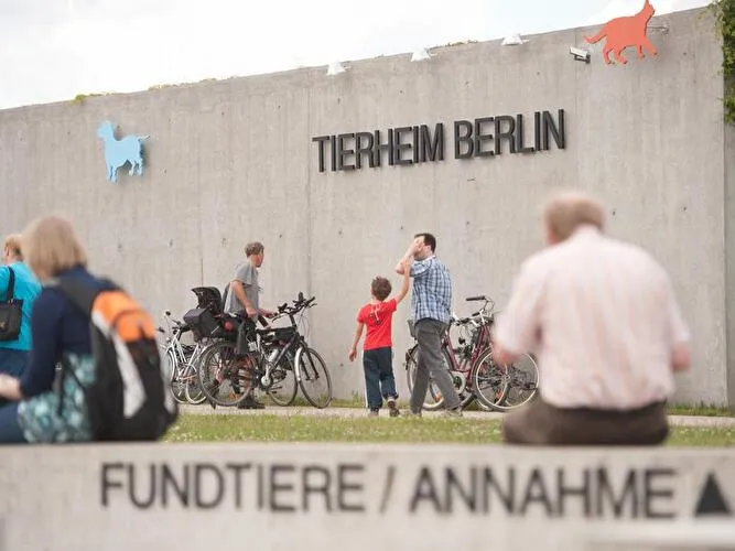 Trödelmarkt im Tierheim Berlin cover