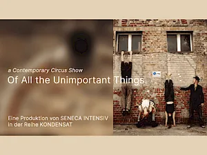 Of All the Unimportant Things