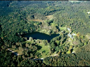 Der Grunewald im Schatten der Klimakrise