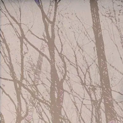 Adam Goodwin: "Grumsin" + Kole Galbraith + Bile Bear + Forrest Gimp (DJ-Set)