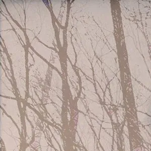 Adam Goodwin: "Grumsin" + Kole Galbraith + Bile Bear + Forrest Gimp (DJ-Set)