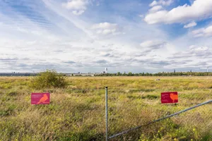 Stadtökologische Führung auf dem Tempelhofer Feld