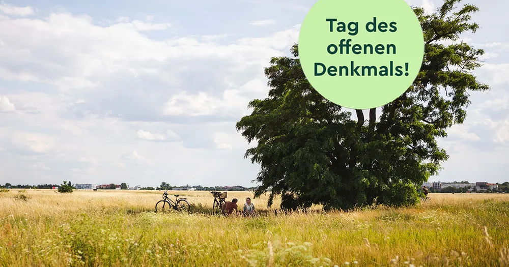 Die geheime Welt des Bodens