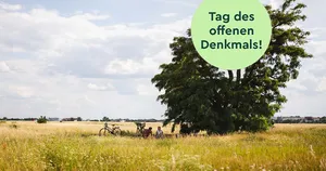 Die geheime Welt des Bodens
