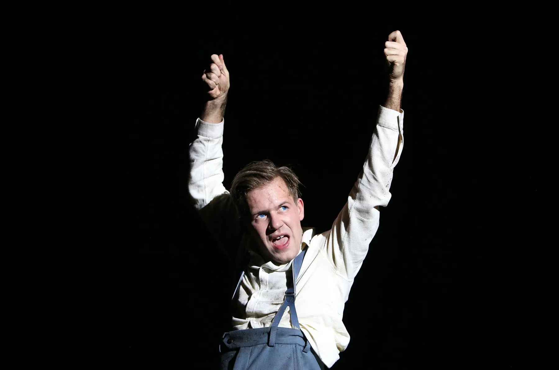 Die Blechtrommel (The Tin Drum)