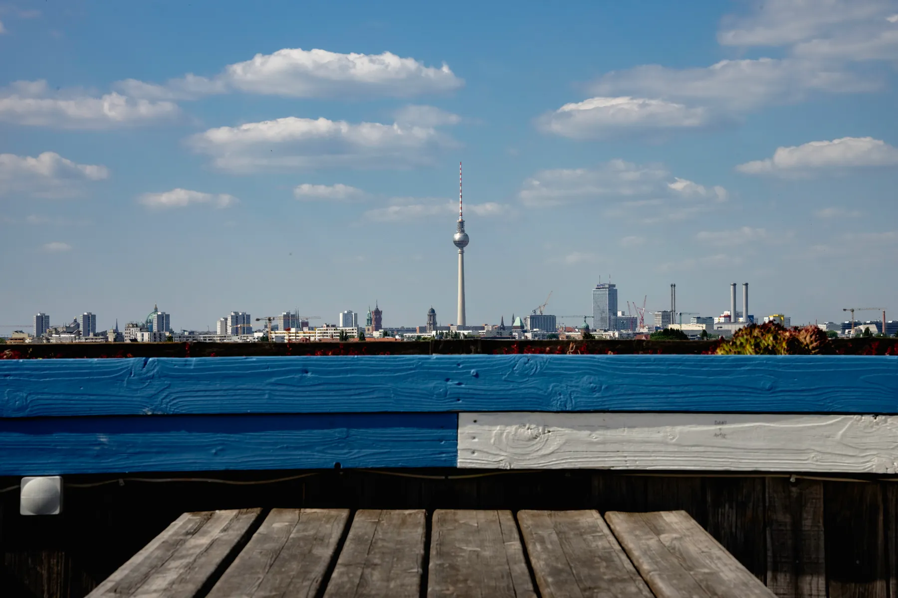 BLAUES STÜNDCHEN w. Raulito Wolf