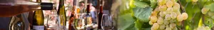 Weinmarkt im Späth'en Weingarten