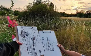 Botanical Drawing – Experimentelles botanisches Zeichnen