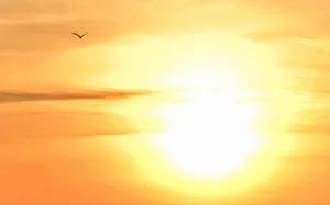 Satsang mit Pyar – »Spiritualität und Bodenständigkeit«