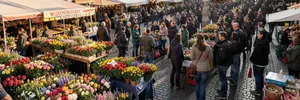 Wochenmarkt Winterfeldtplatz cover